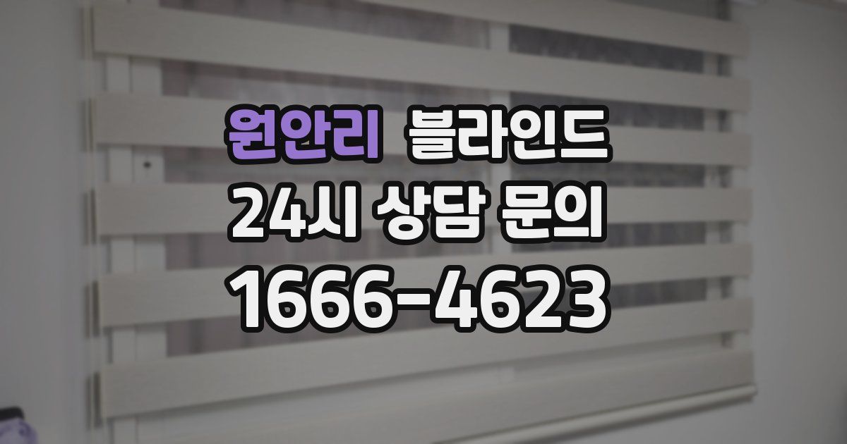 원안리 블라인드