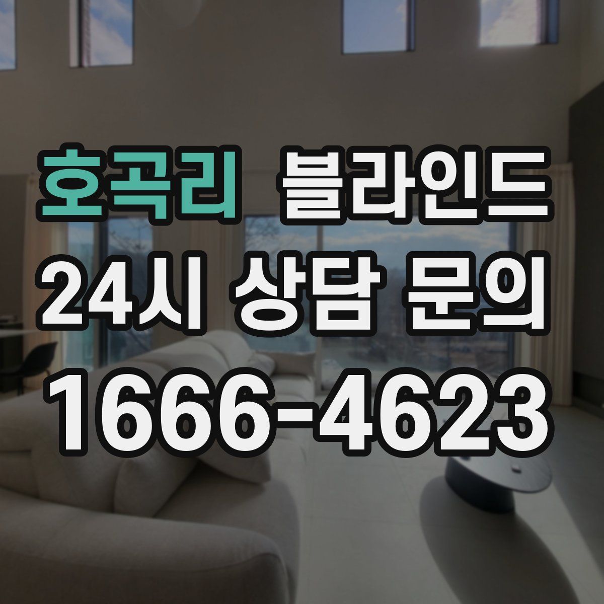 호곡리 블라인드
