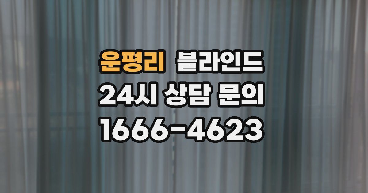 운평리 블라인드