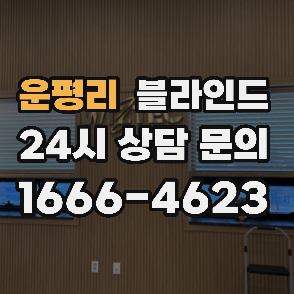 운평리 블라인드
