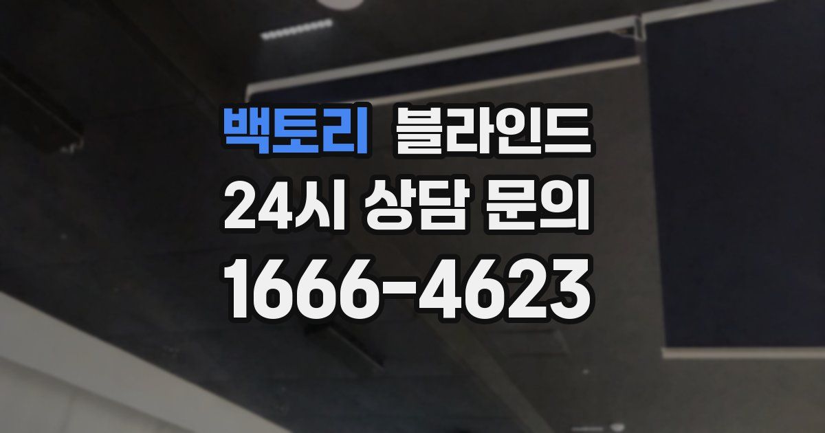 백토리 블라인드