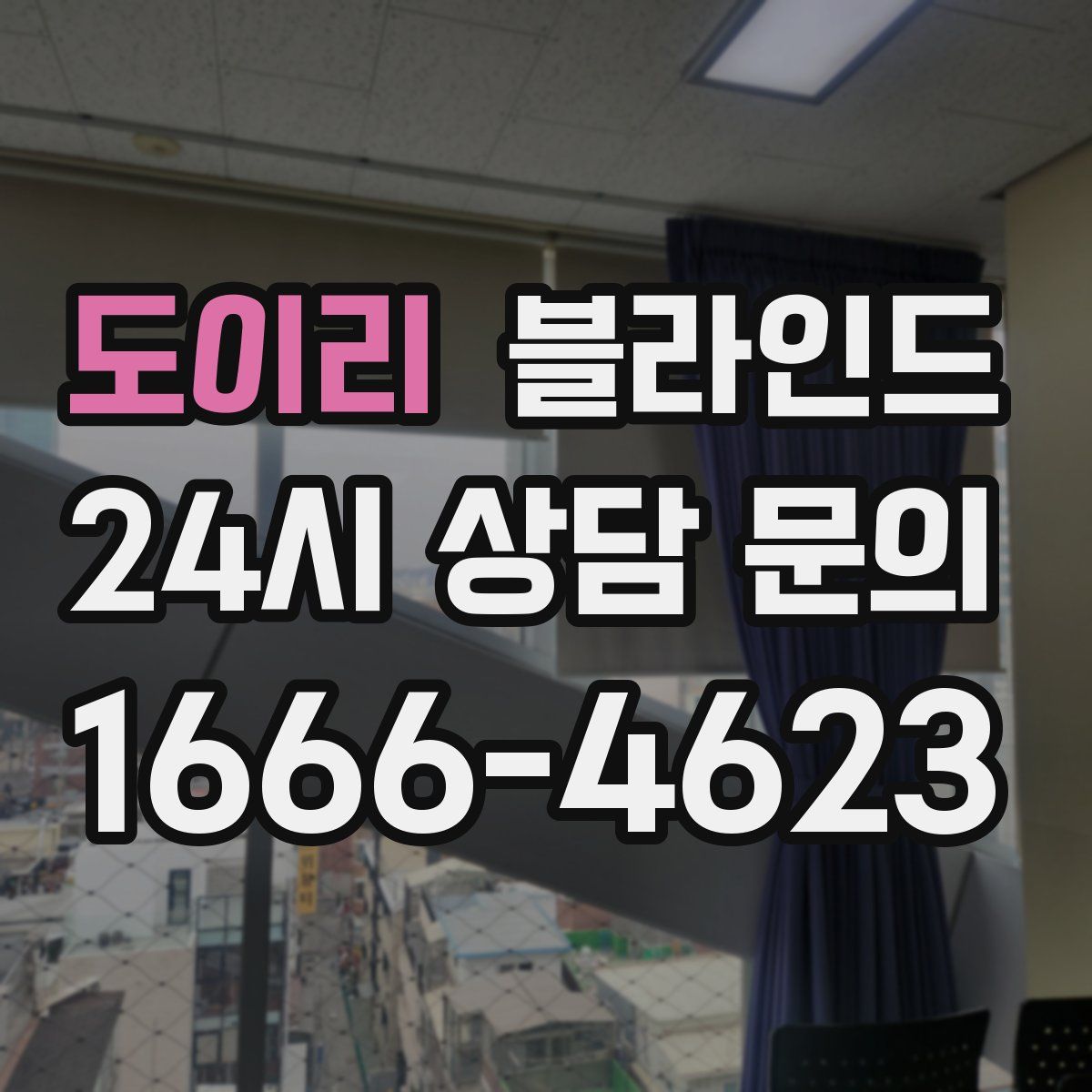 도이리 블라인드