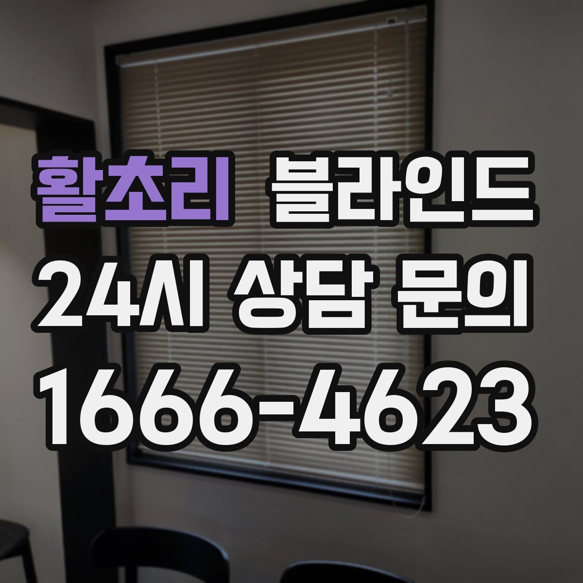 활초리 블라인드