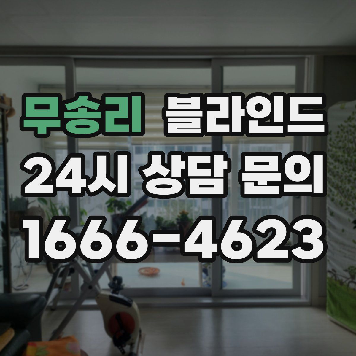 무송리 블라인드