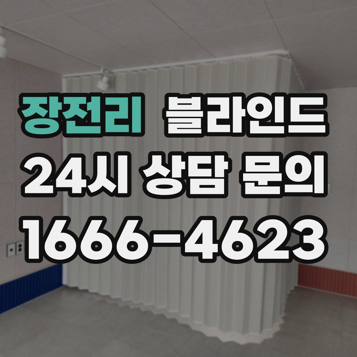 장전리 블라인드
