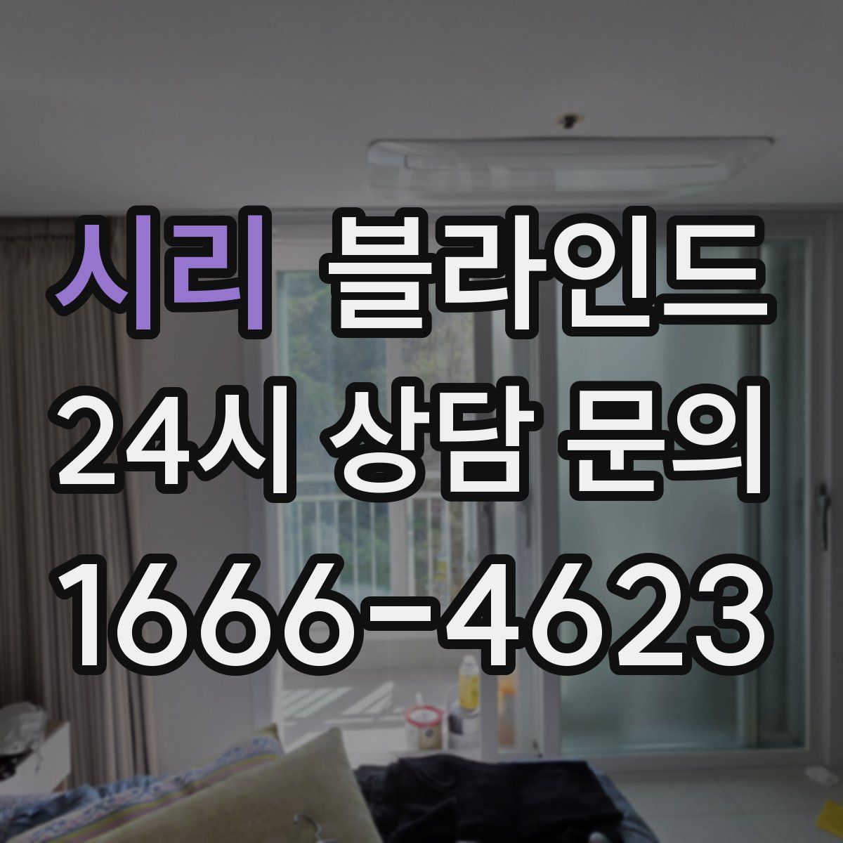 시리 블라인드
