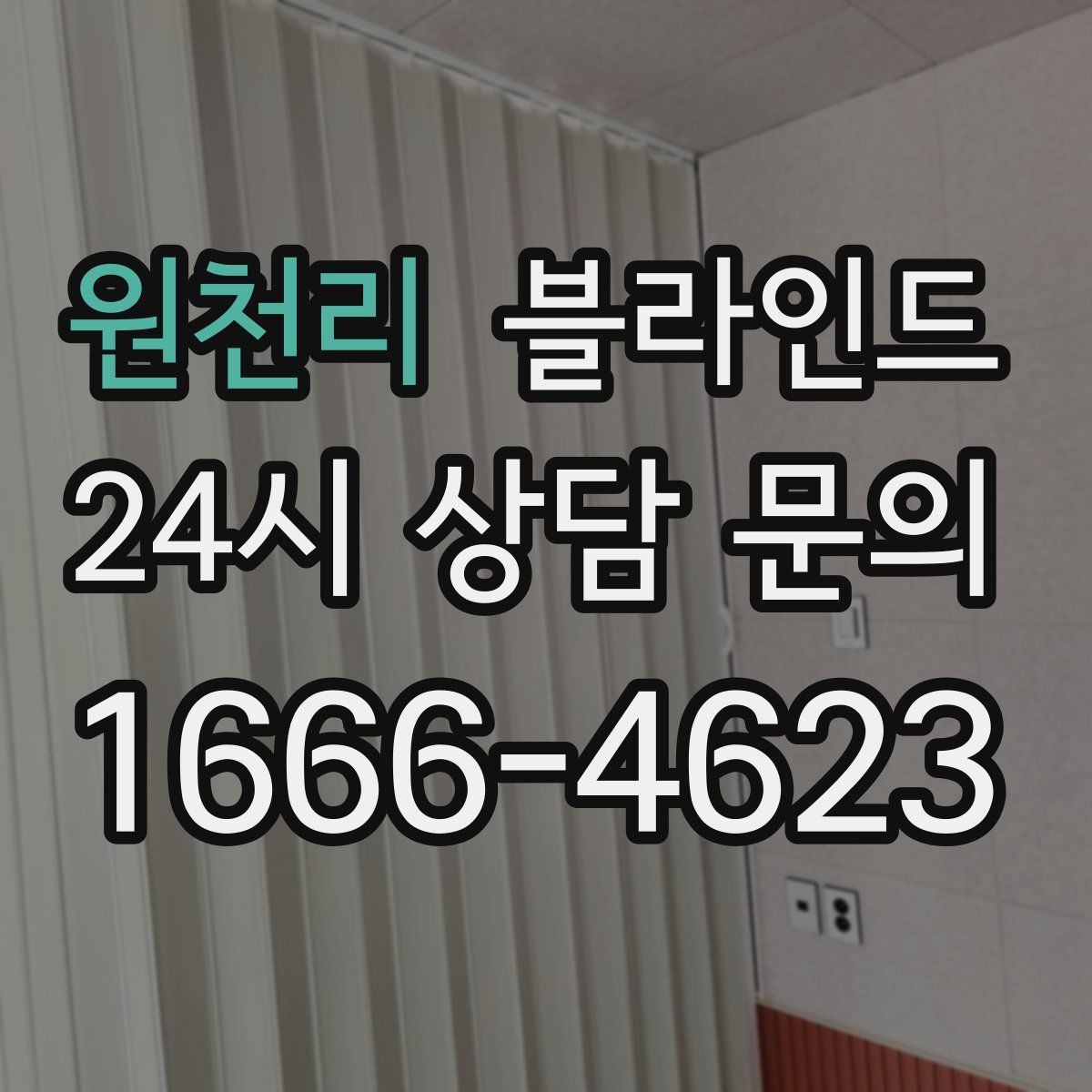 원천리 블라인드