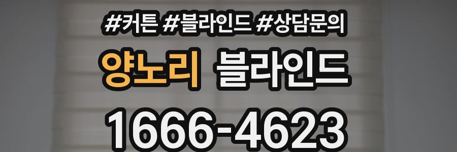 양노리 블라인드