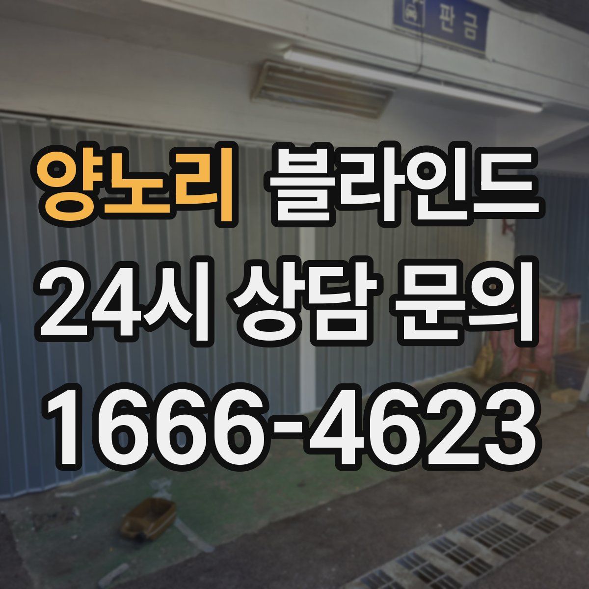 양노리 블라인드