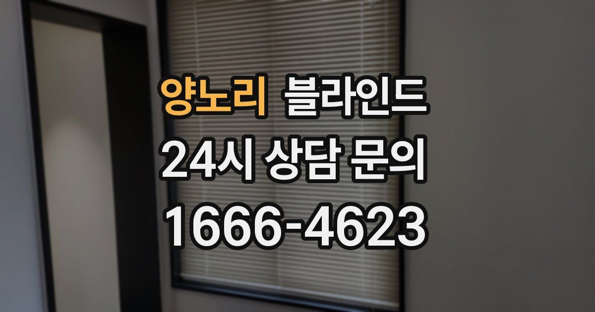 양노리 블라인드