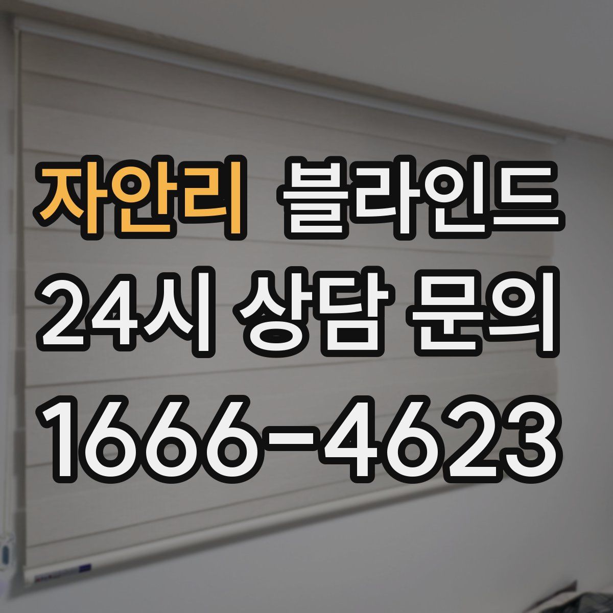 자안리 블라인드