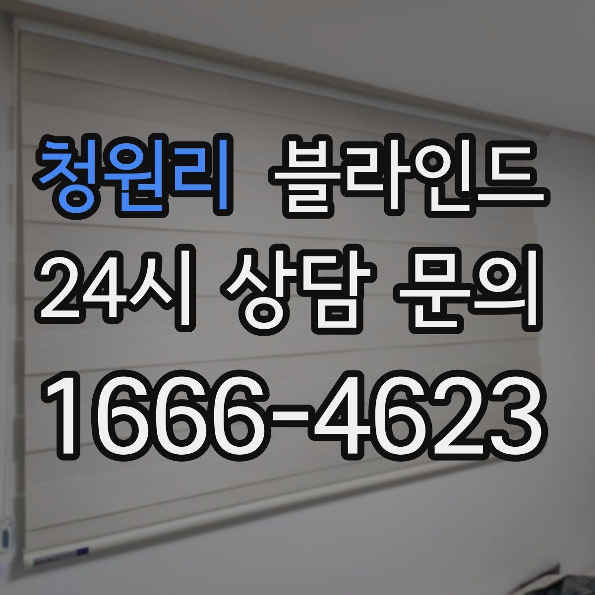 청원리 블라인드