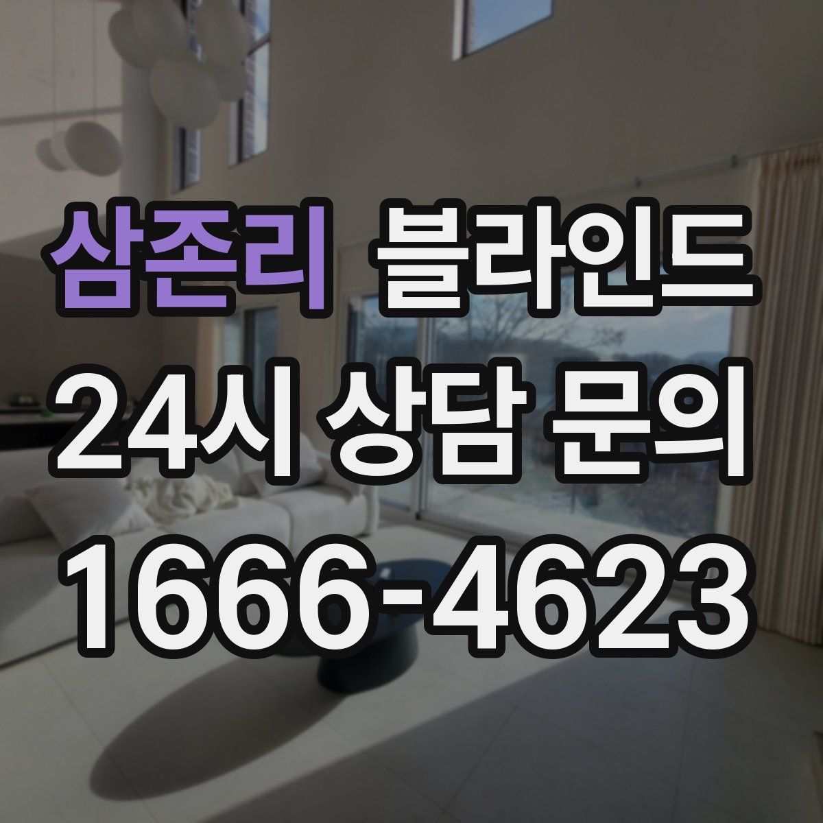 삼존리 블라인드