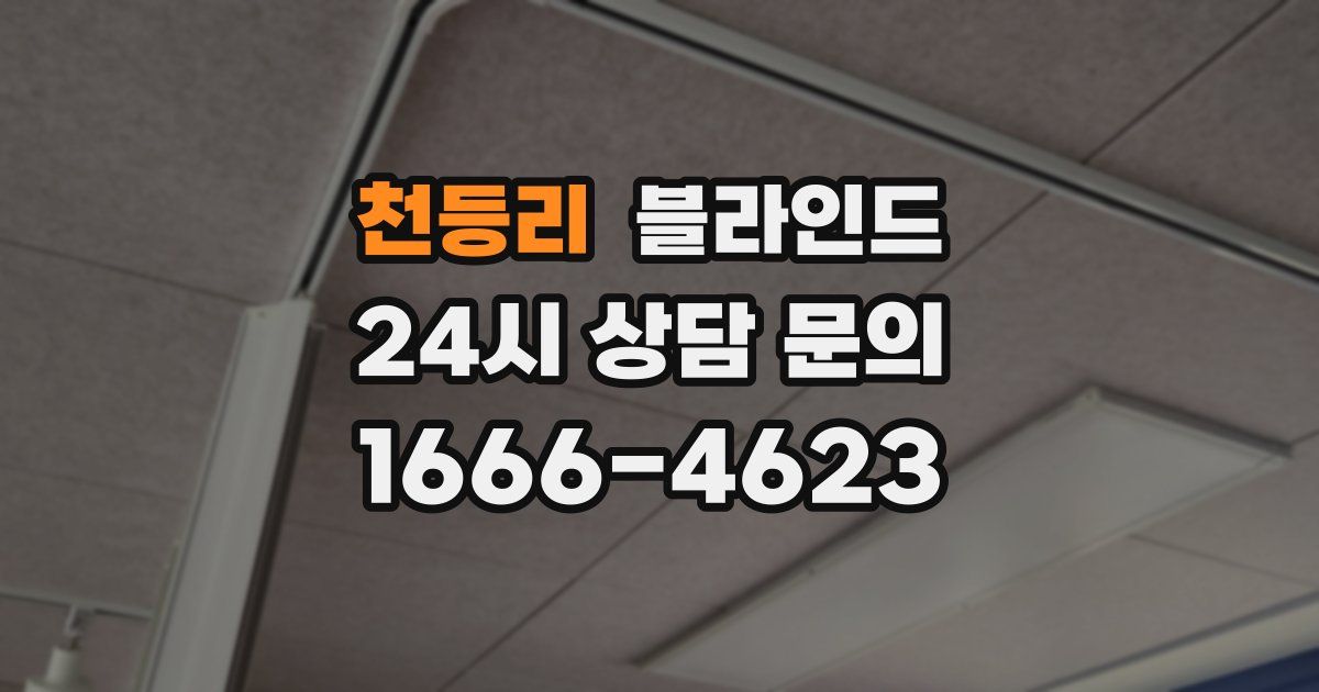천등리 블라인드