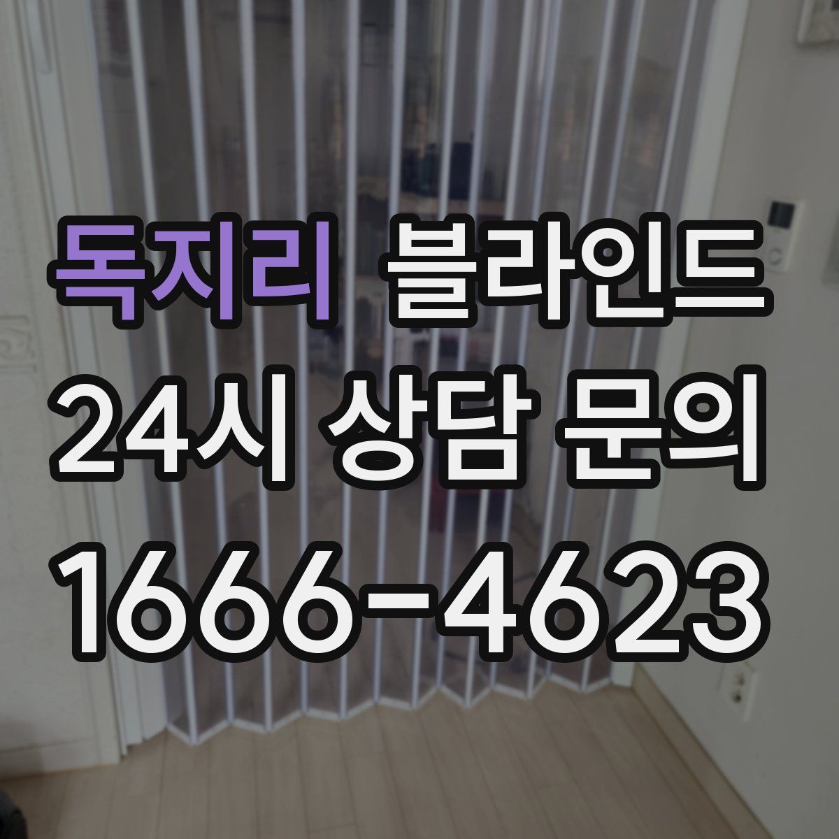 독지리 블라인드