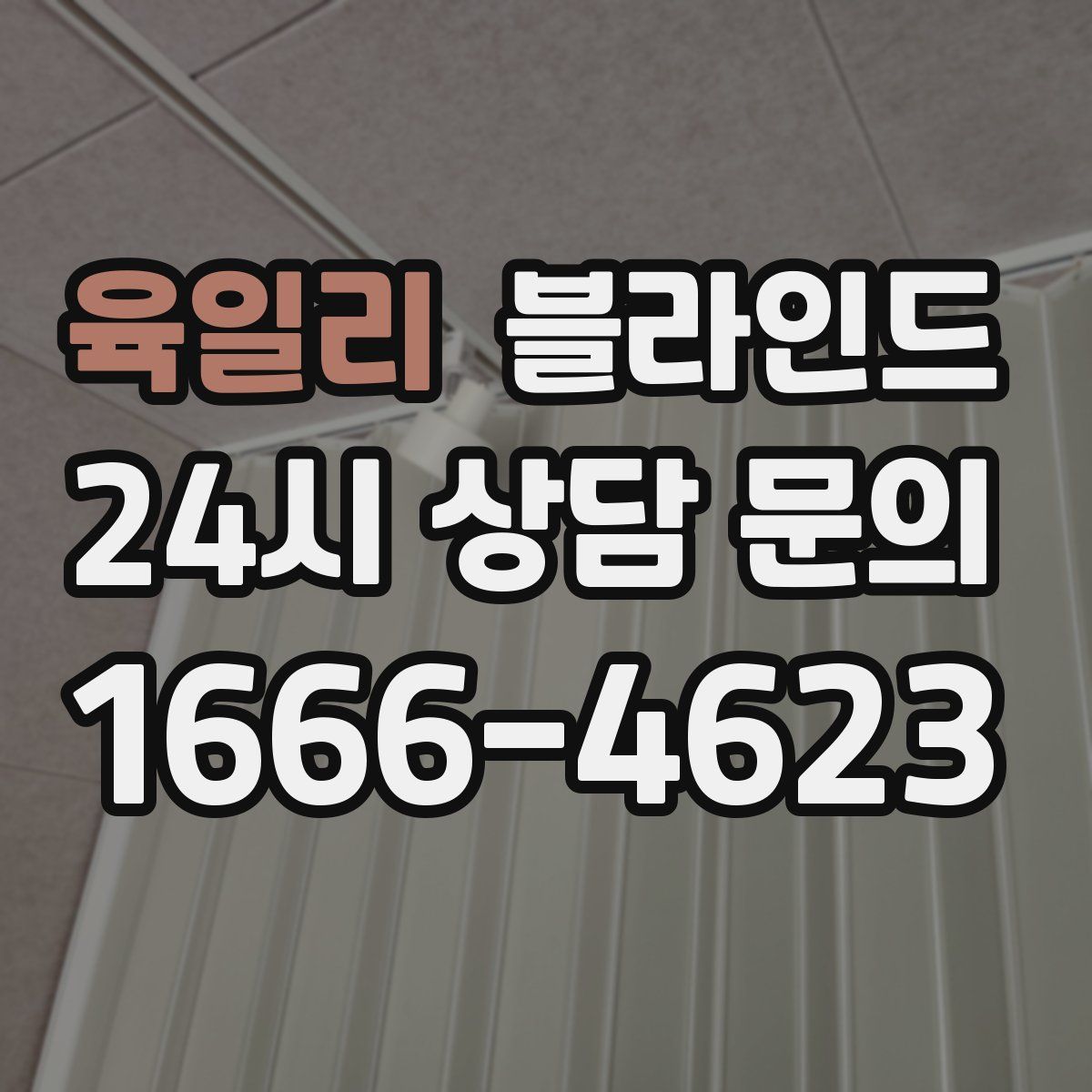 육일리 블라인드