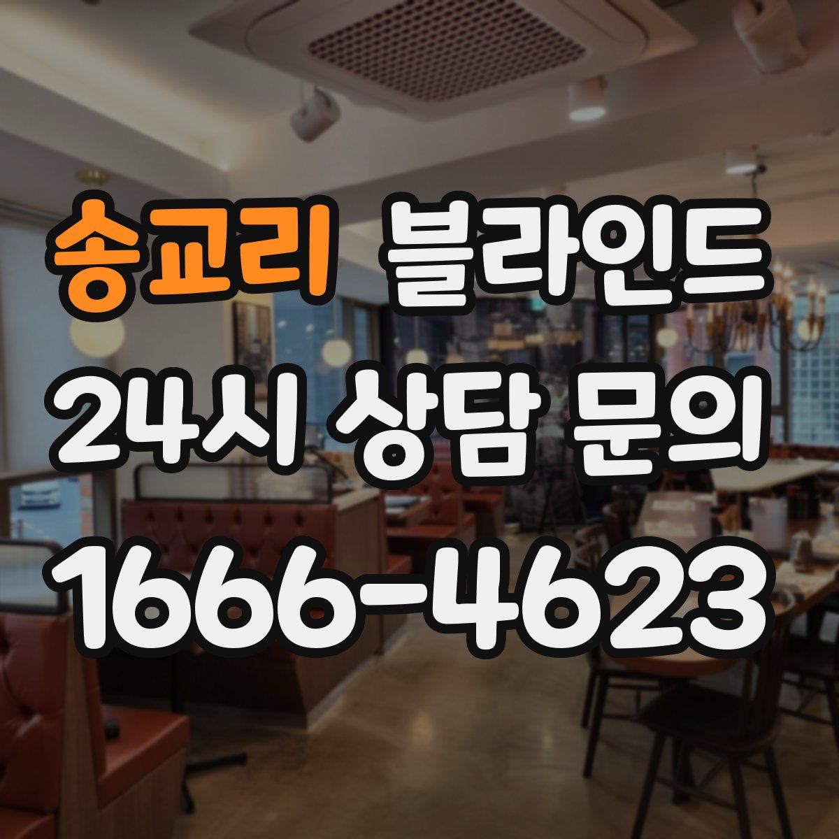 송교리 블라인드
