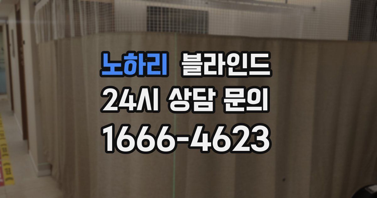 노하리 블라인드