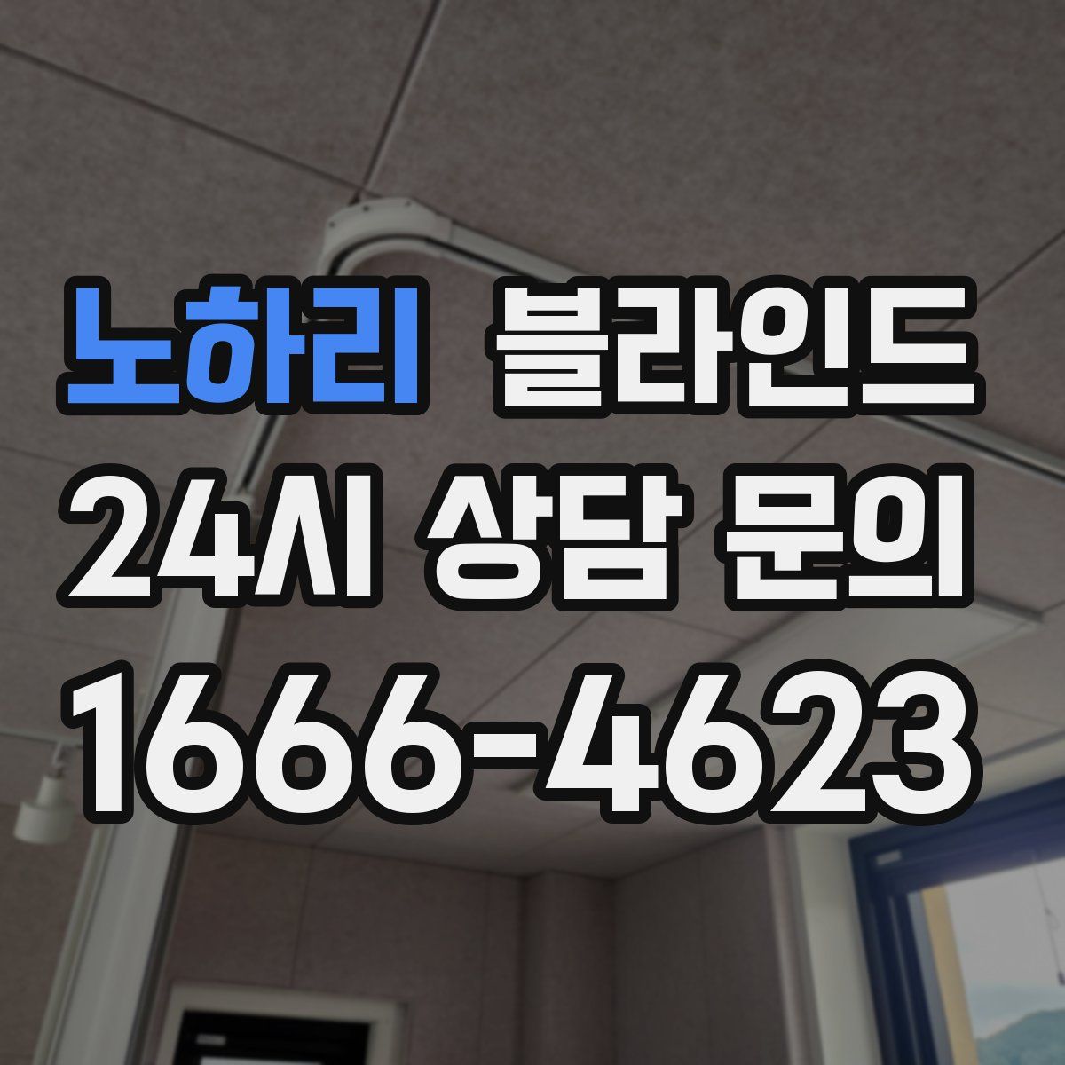 노하리 블라인드