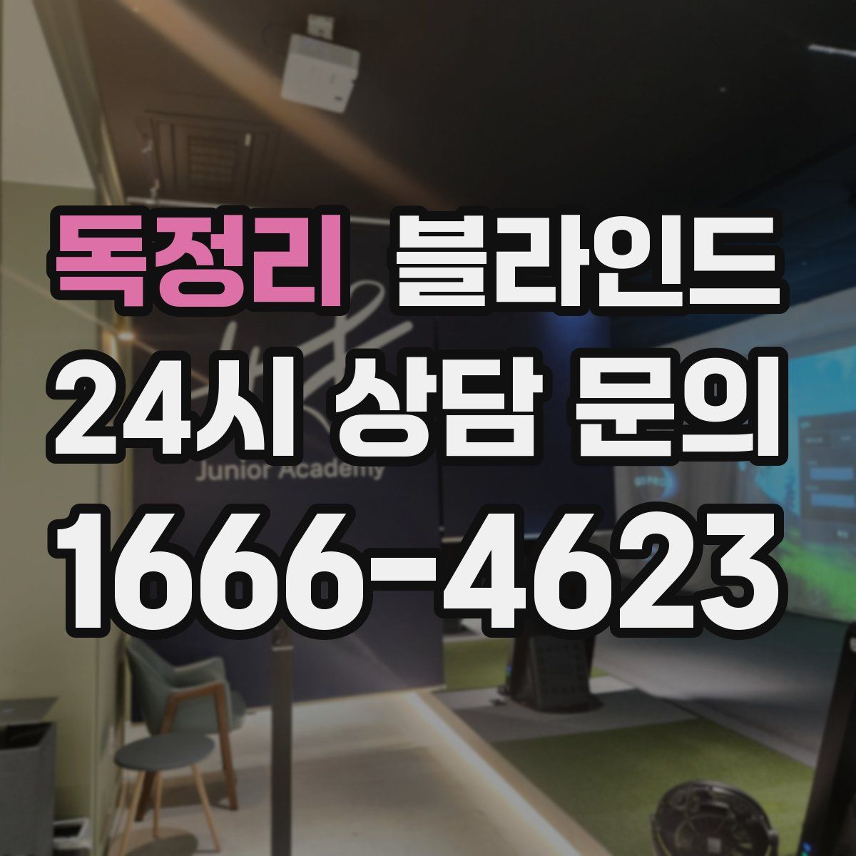 독정리 블라인드