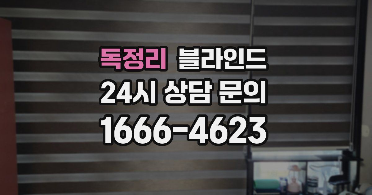 독정리 블라인드