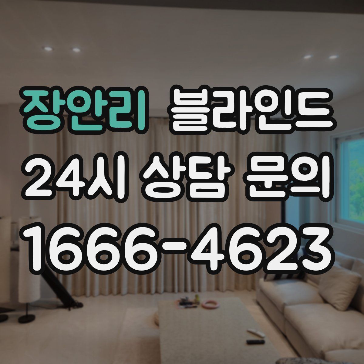 장안리 블라인드