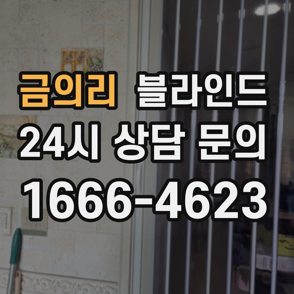 금의리 블라인드