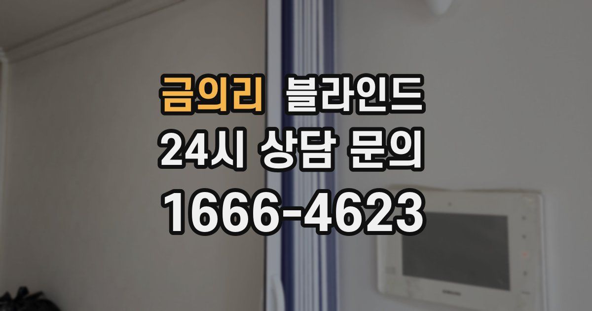 금의리 블라인드