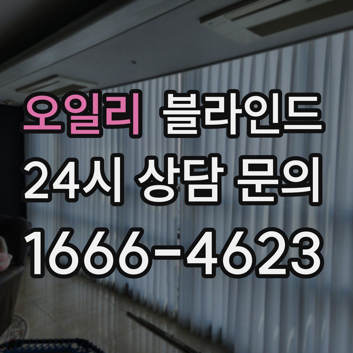 오일리 블라인드