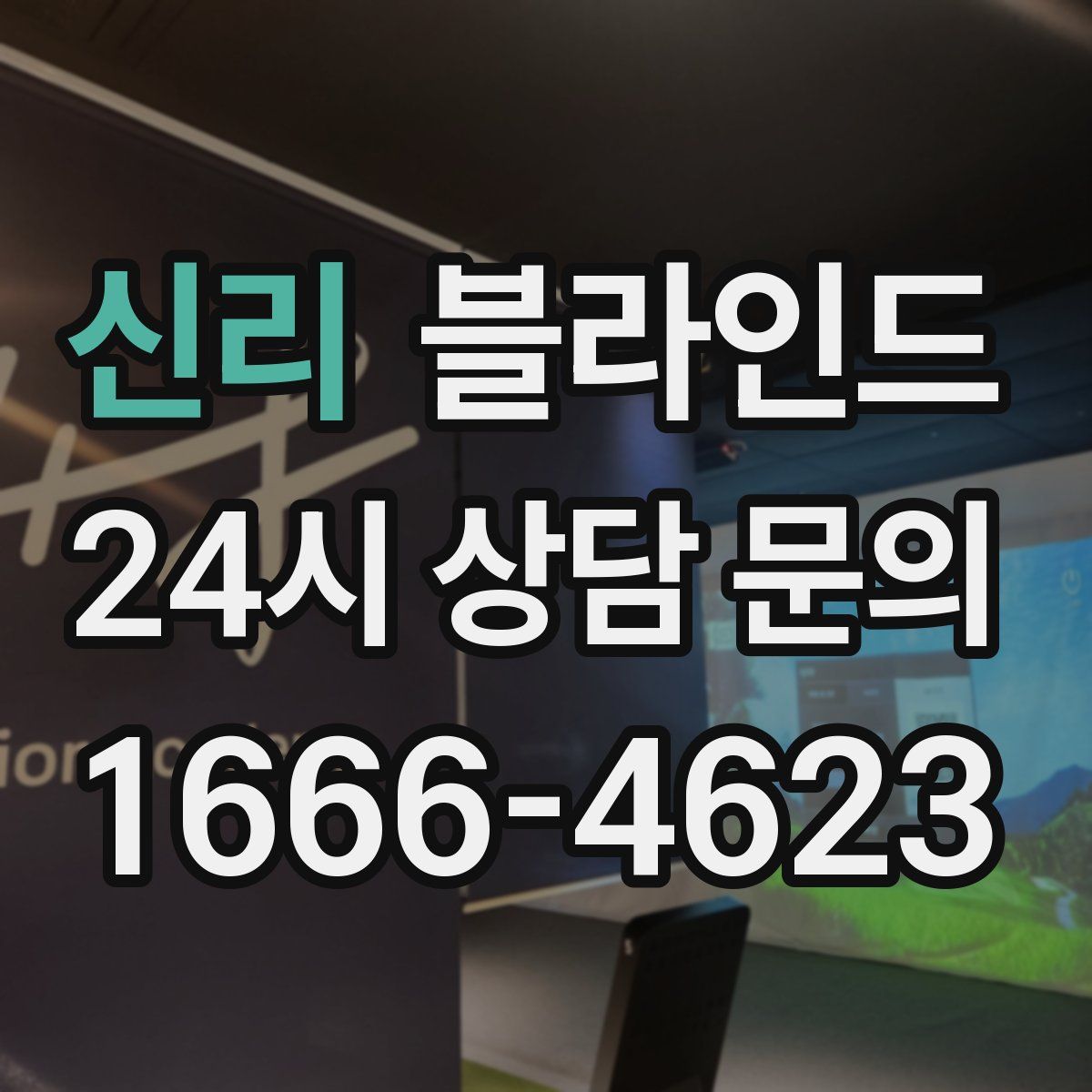 신리 블라인드
