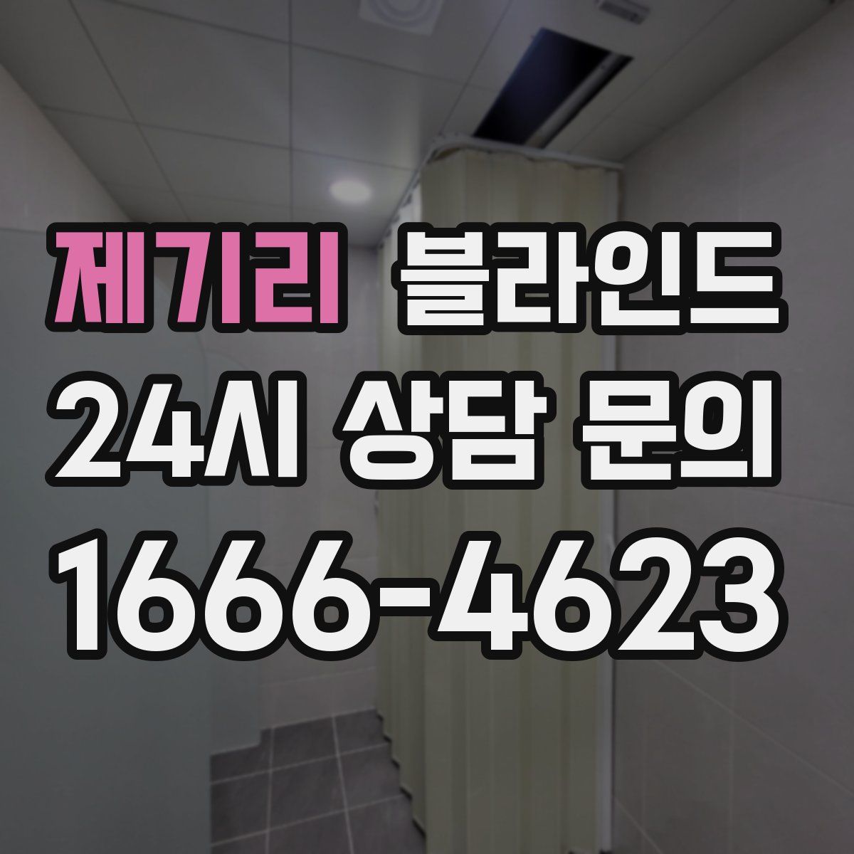 제기리 블라인드