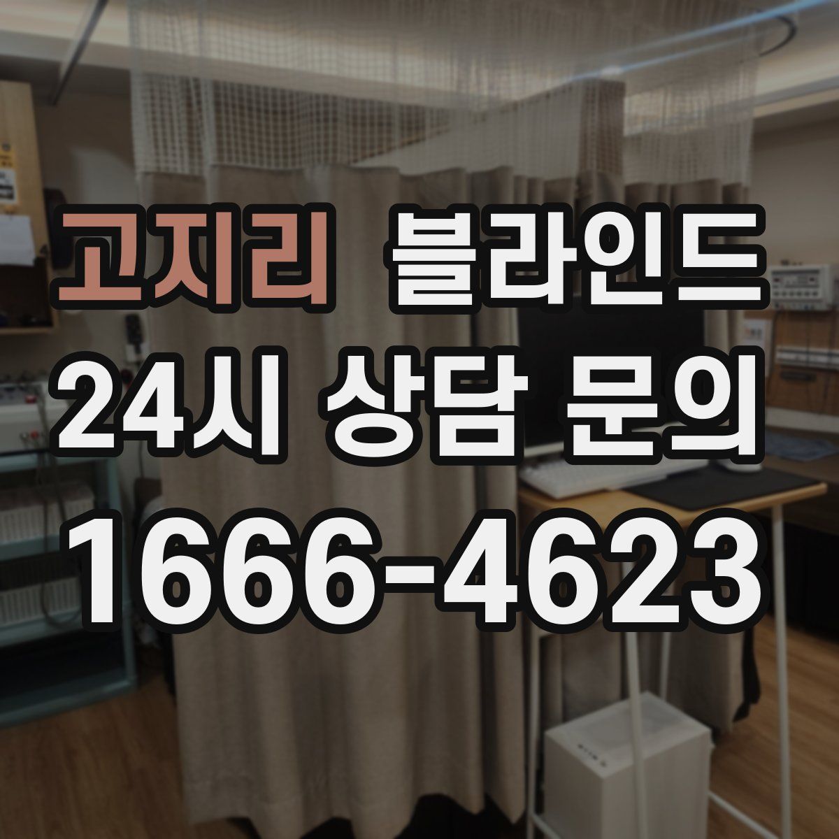 고지리 블라인드