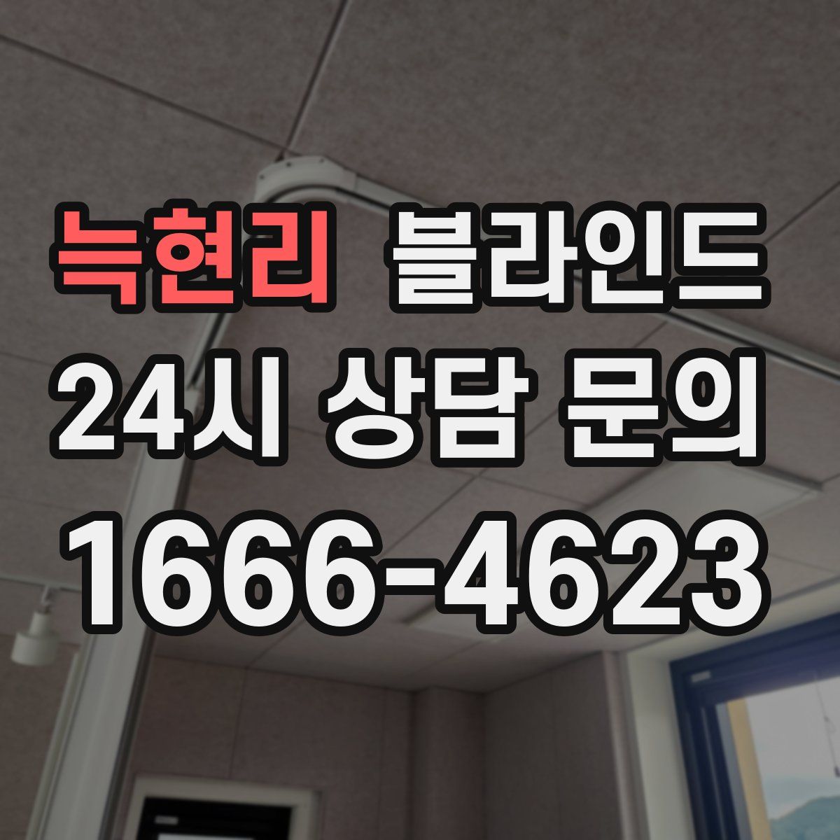 늑현리 블라인드