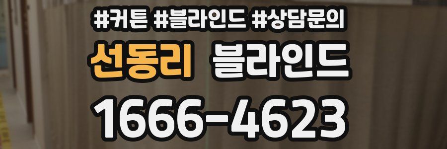 선동리 블라인드