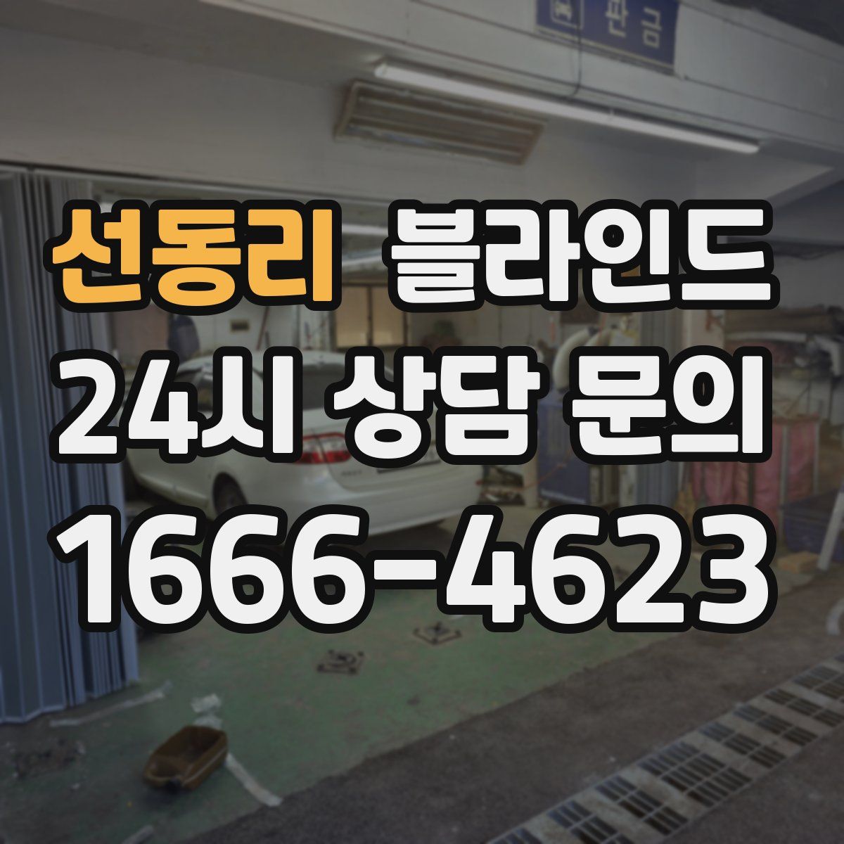 선동리 블라인드