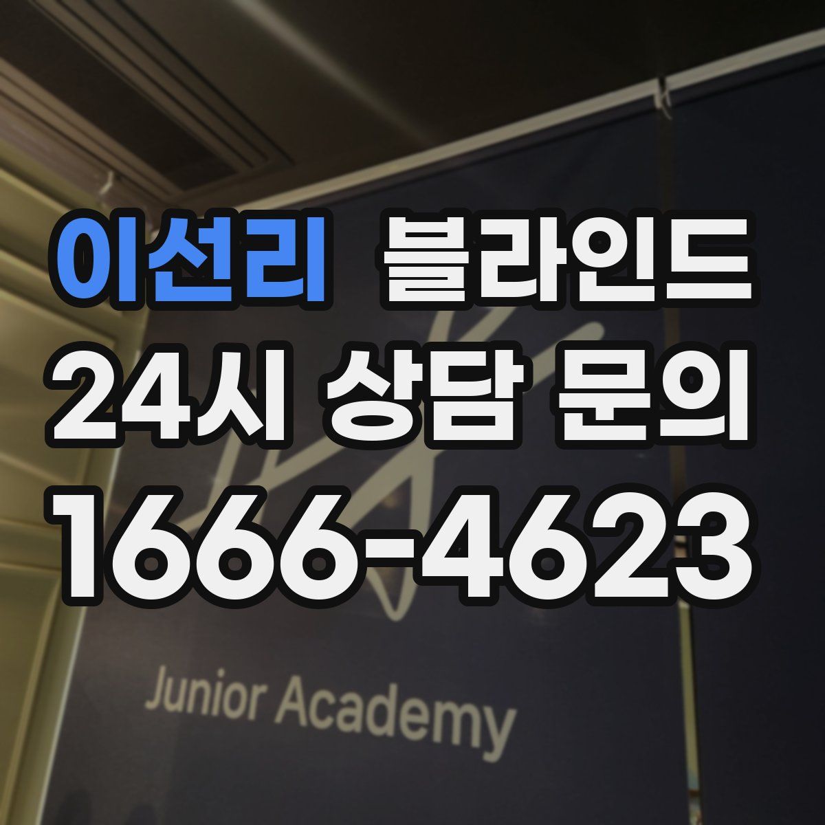 이선리 블라인드