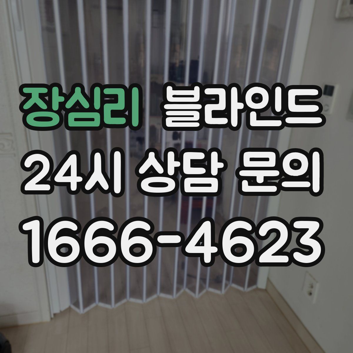 장심리 블라인드