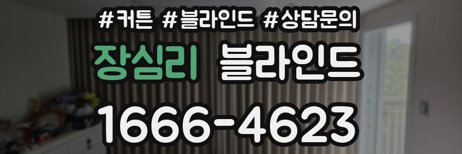장심리 블라인드