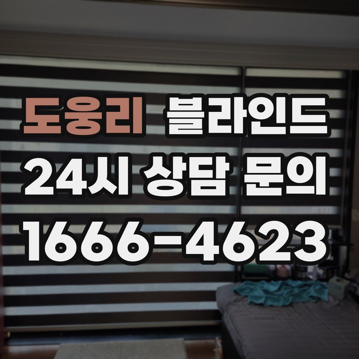 도웅리 블라인드