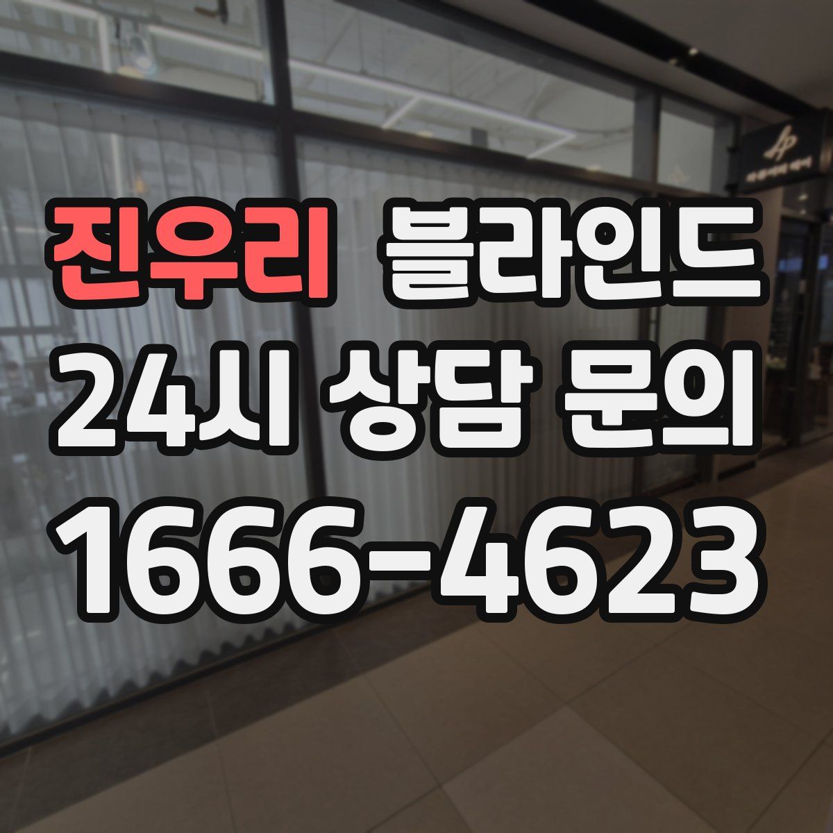 진우리 블라인드