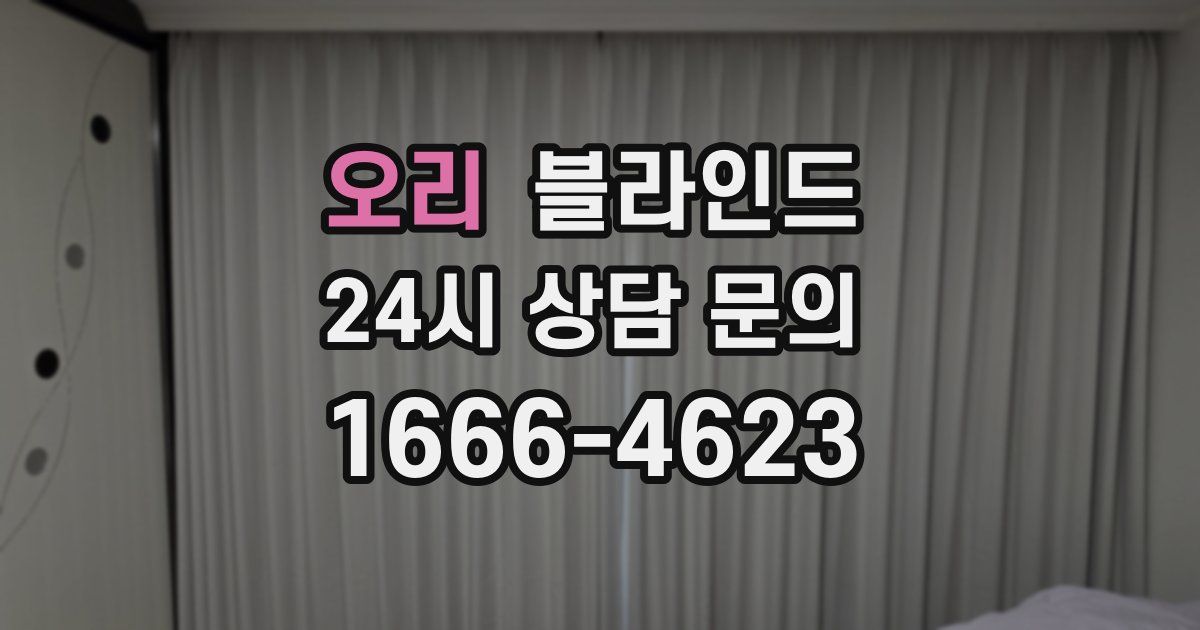 오리 블라인드