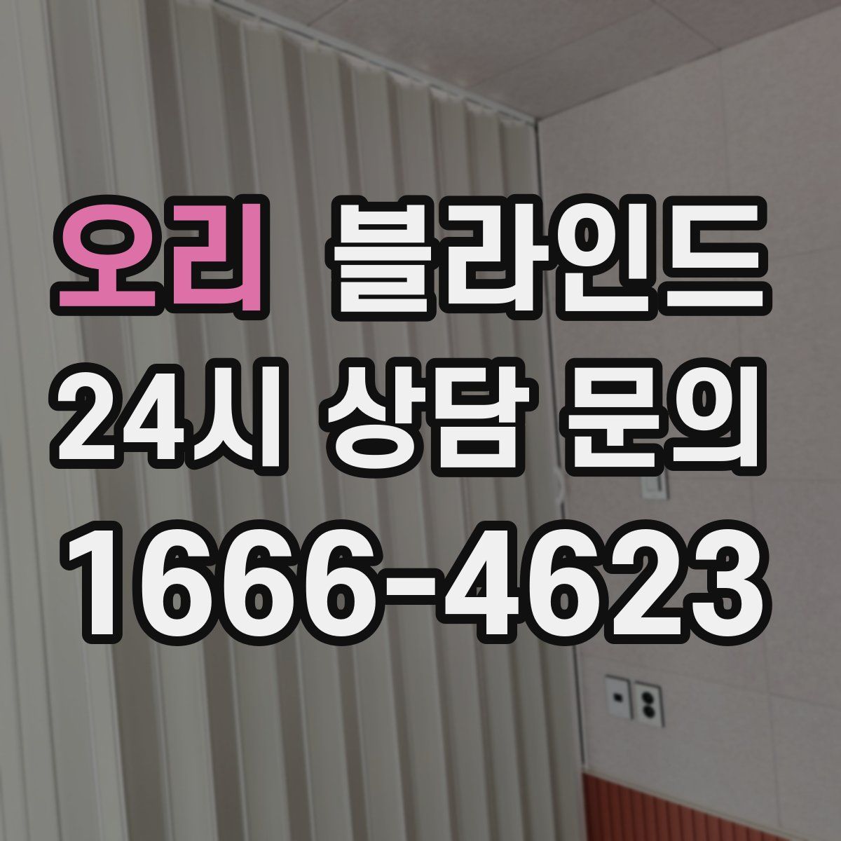 오리 블라인드