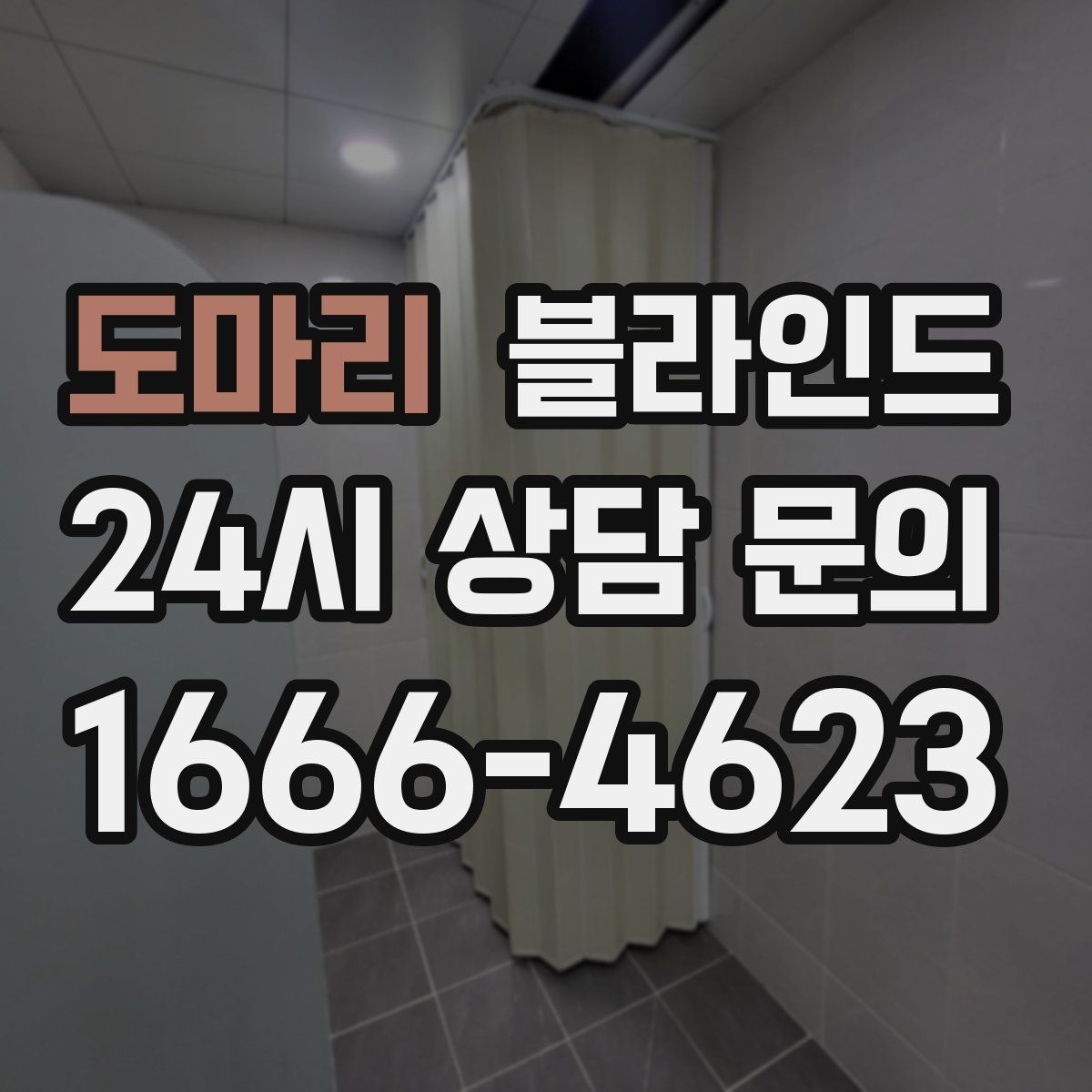 도마리 블라인드