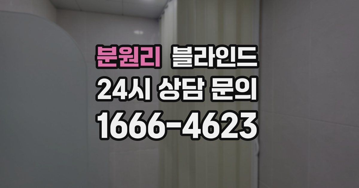 분원리 블라인드