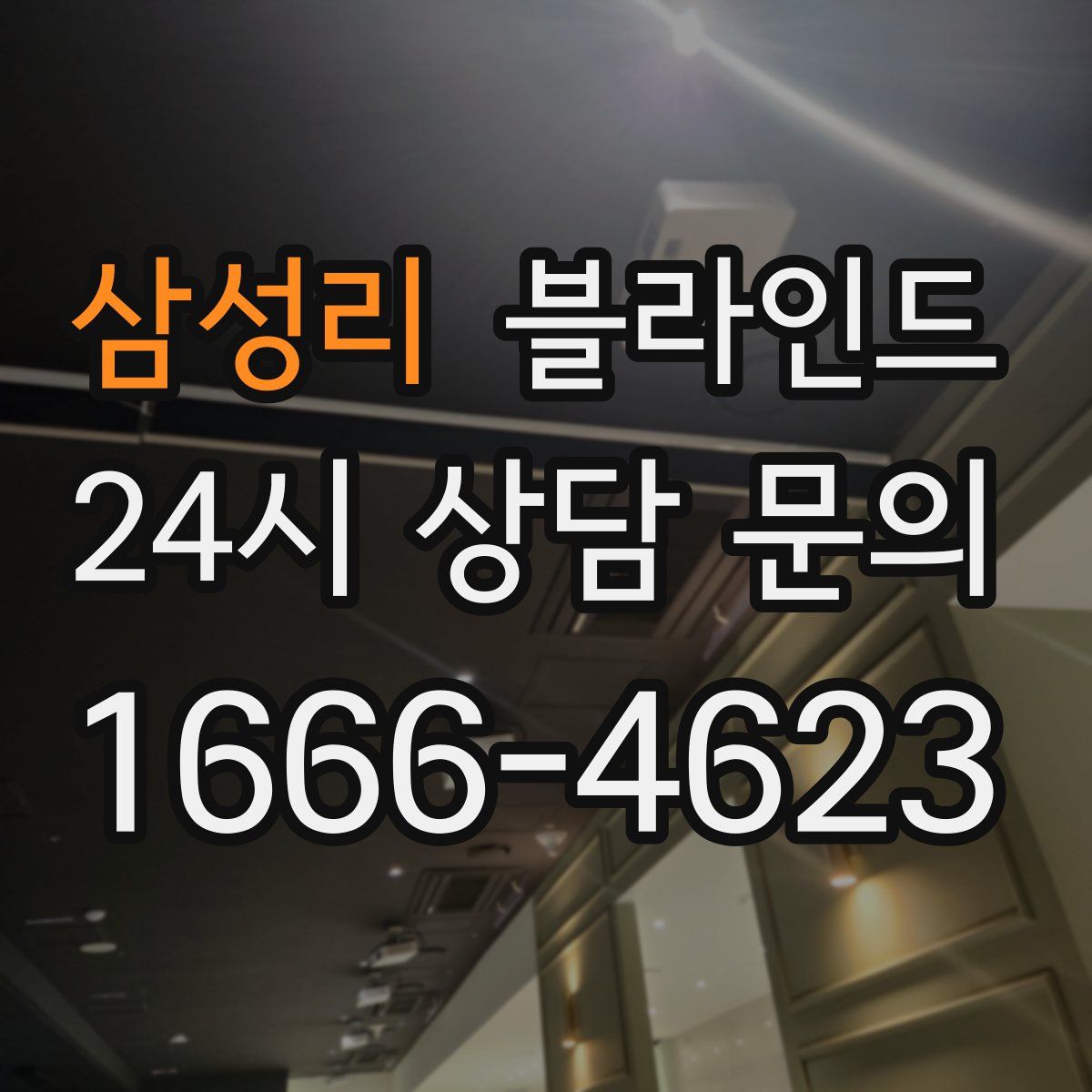 삼성리 블라인드
