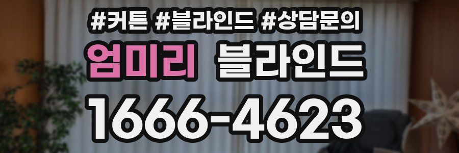 엄미리 블라인드