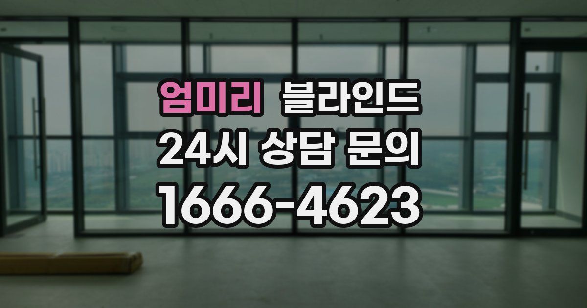 엄미리 블라인드
