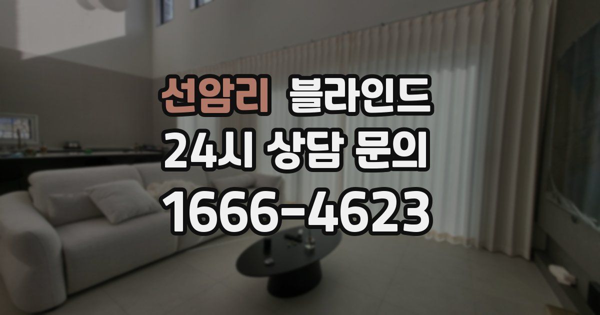 선암리 블라인드