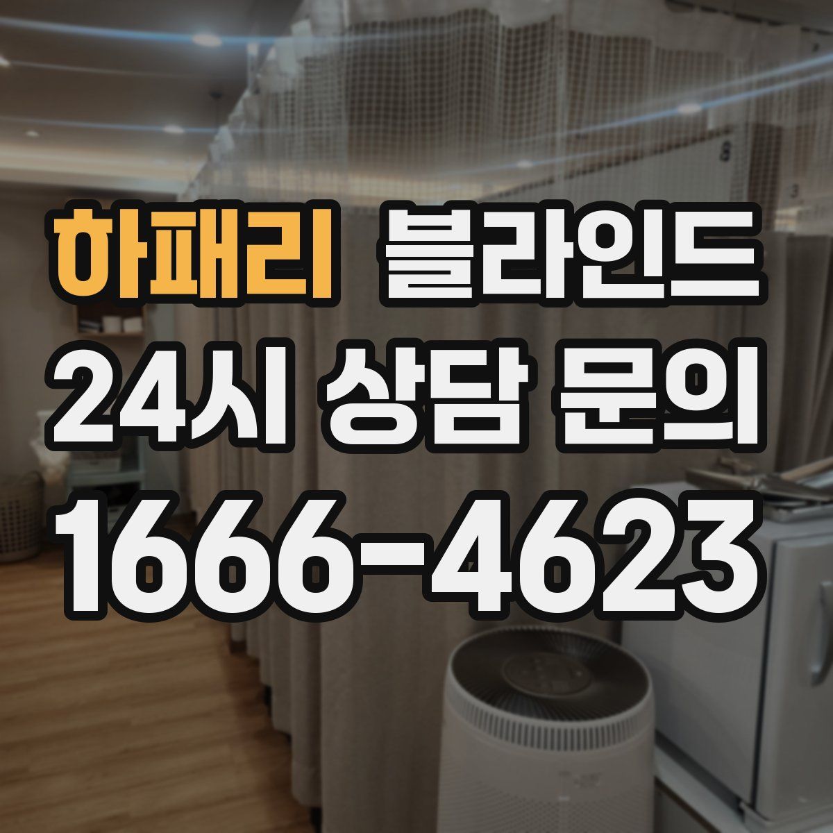 하패리 블라인드