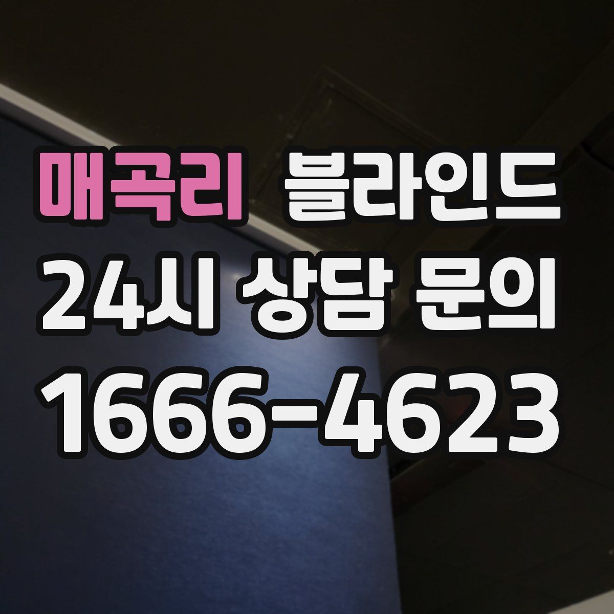 매곡리 블라인드